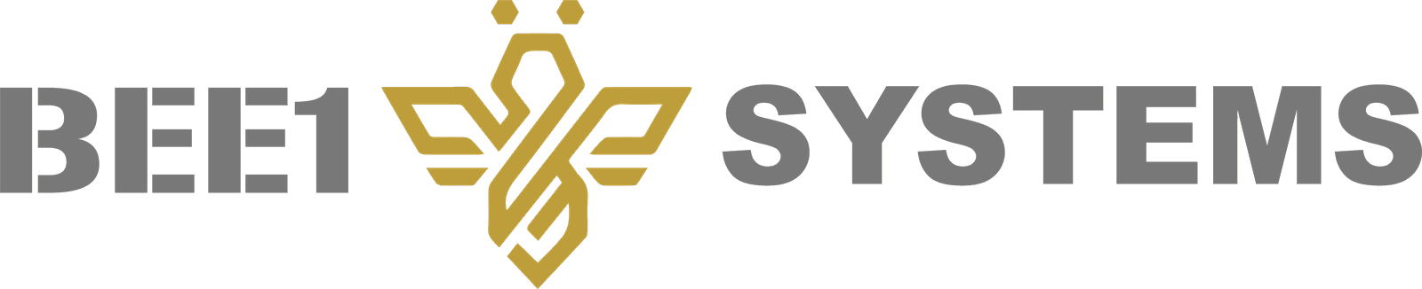 BEE1 Systems
